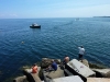 Watching Fishing and Lobstering