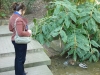 Half Awake Duck Watching at the Gulbenkian Park 