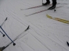 Skis on Ground