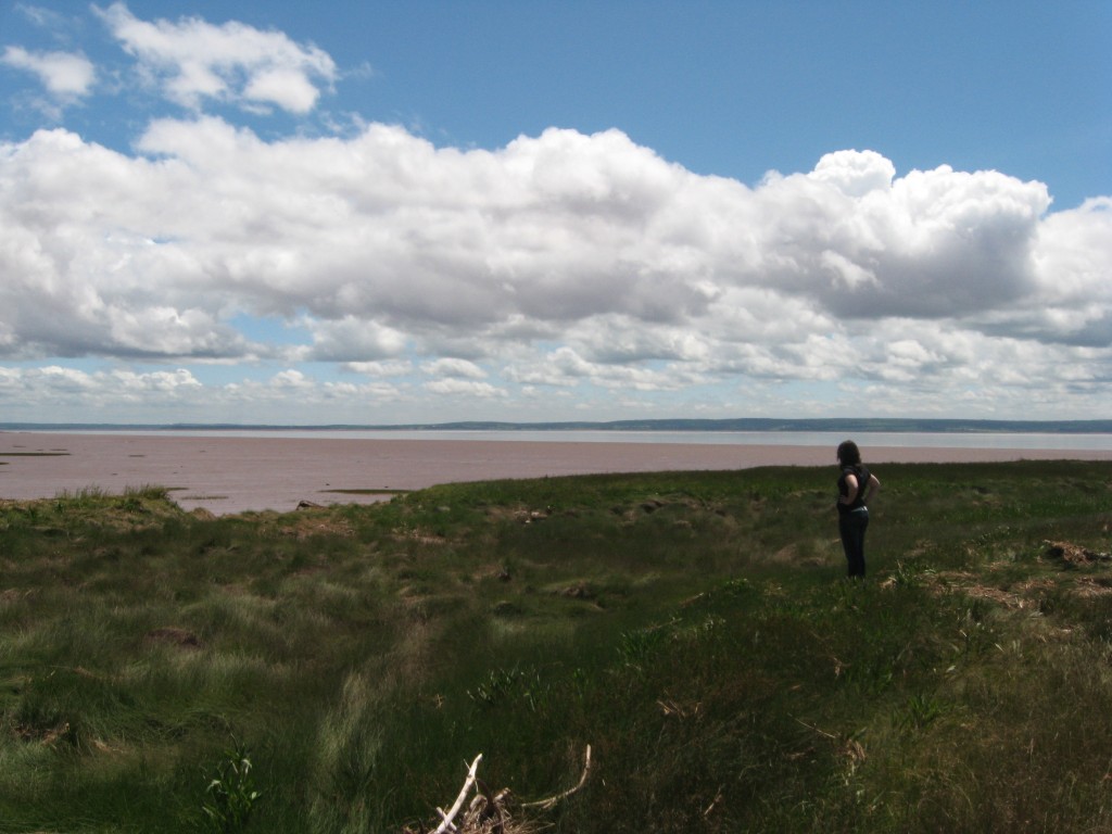 S on marshy shore S on marshy shore