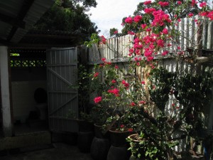 Miss Loh's guest house shower
