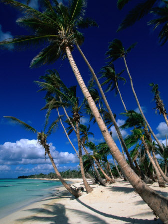 awesome x2 Dominican beach
