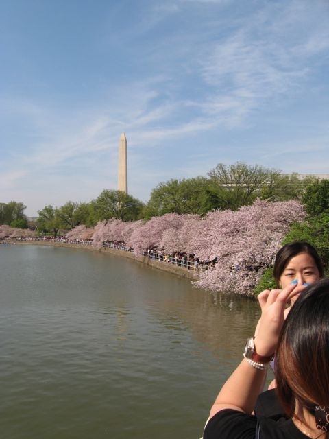 Along the Tidal Basin, Washington Monument